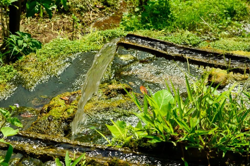 How To Improve Drainage in A Garden